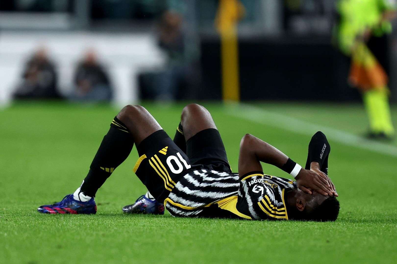 50吨植物油精炼设备